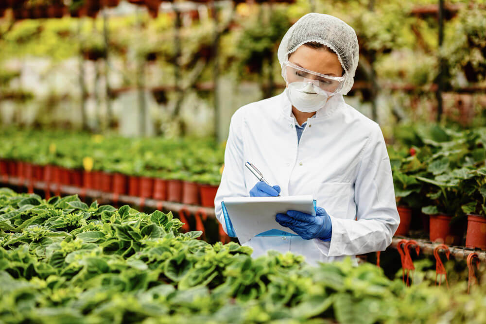 Food Safety Audit